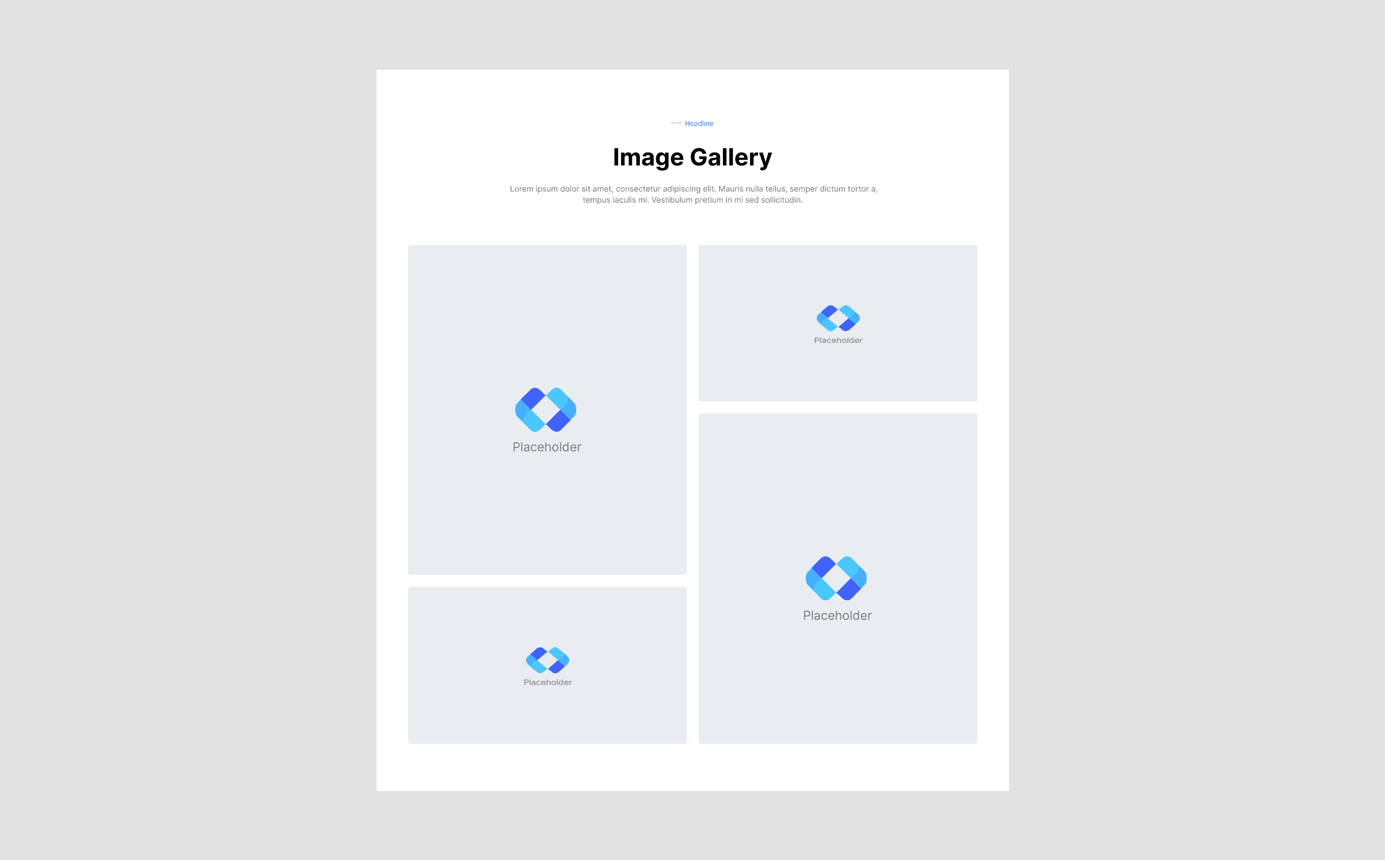 Image Gallery 7
